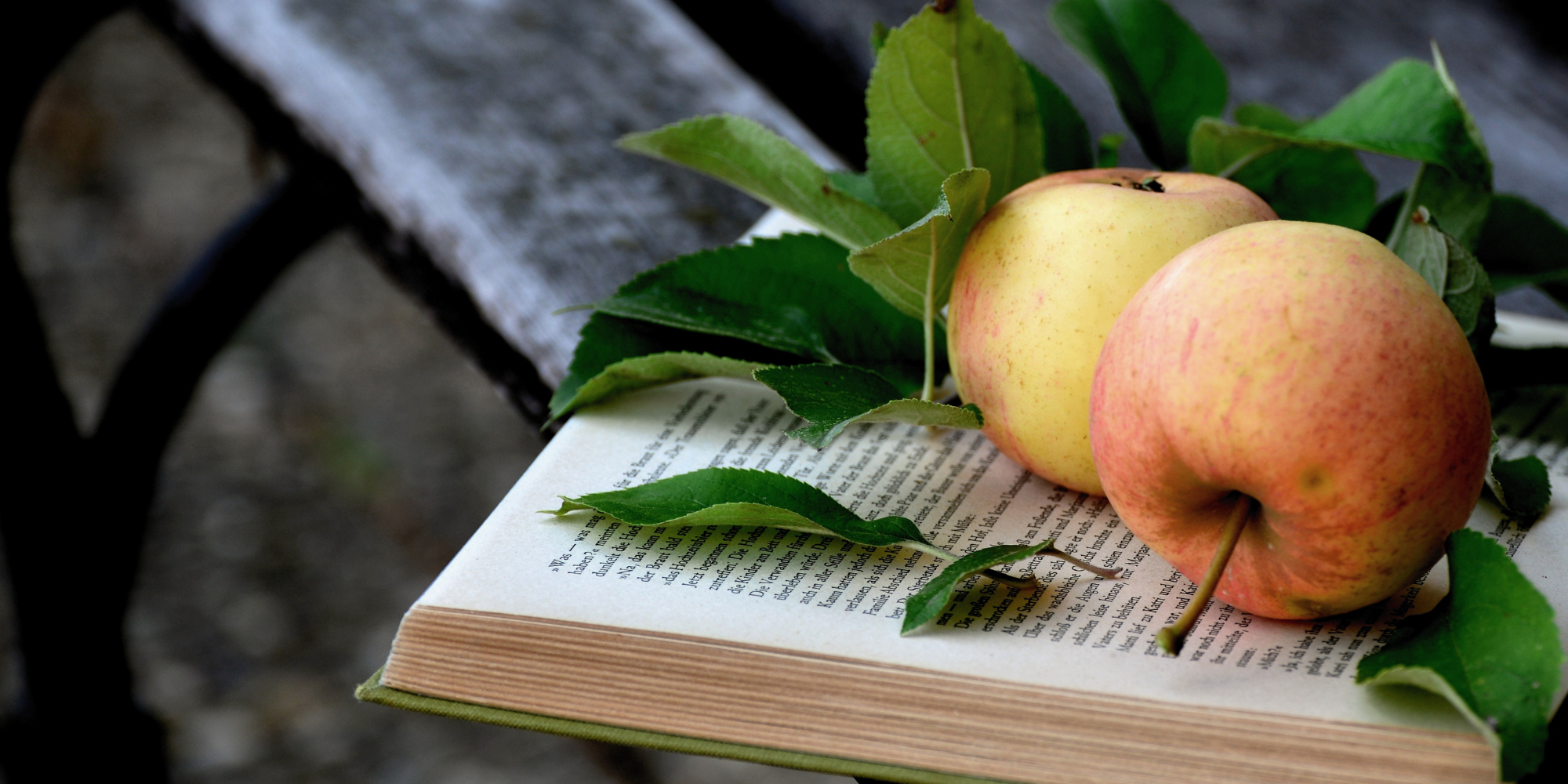 Book and apple